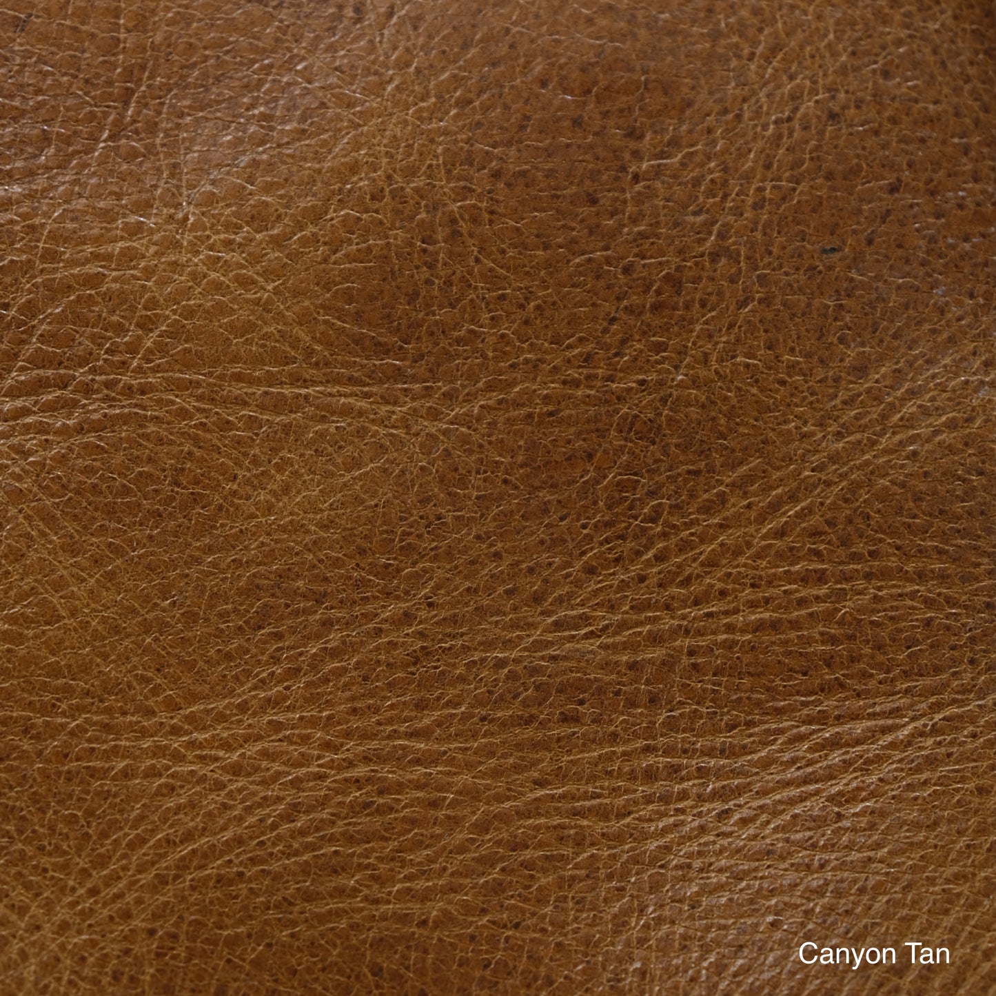 Close-up of Canyon Tan leather showing its color, grain, and texture.